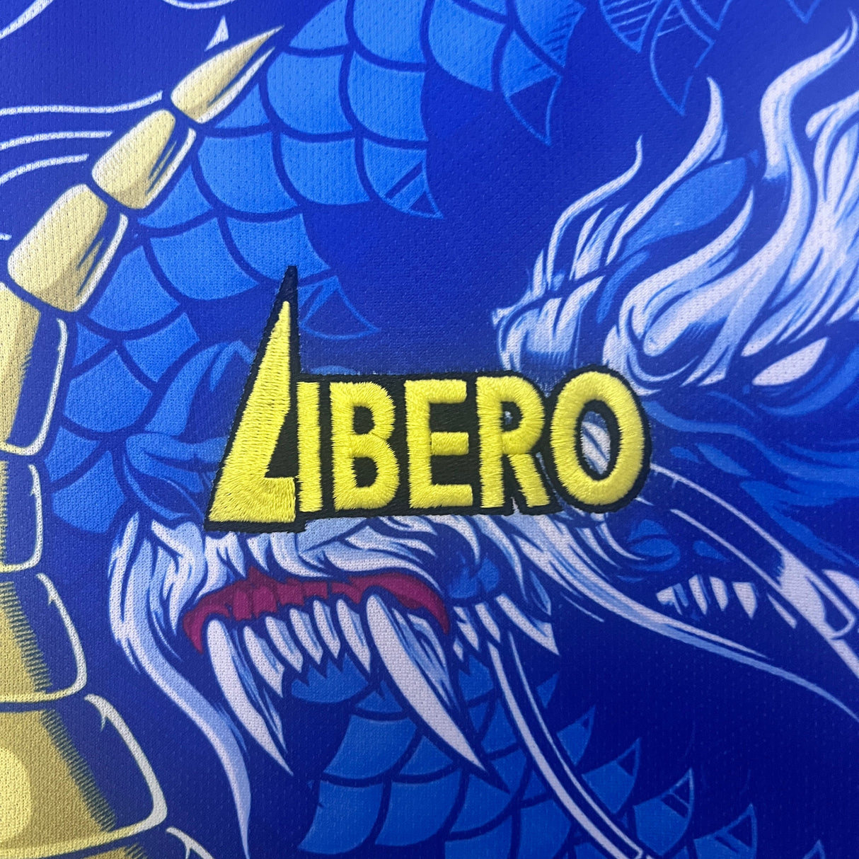 JAPAN CULTURE 2023-24 (IREZUMI)