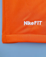 VAN PERSIE ROBIN 2008-09 (Neth)